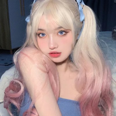 今天也要努力当只猫
