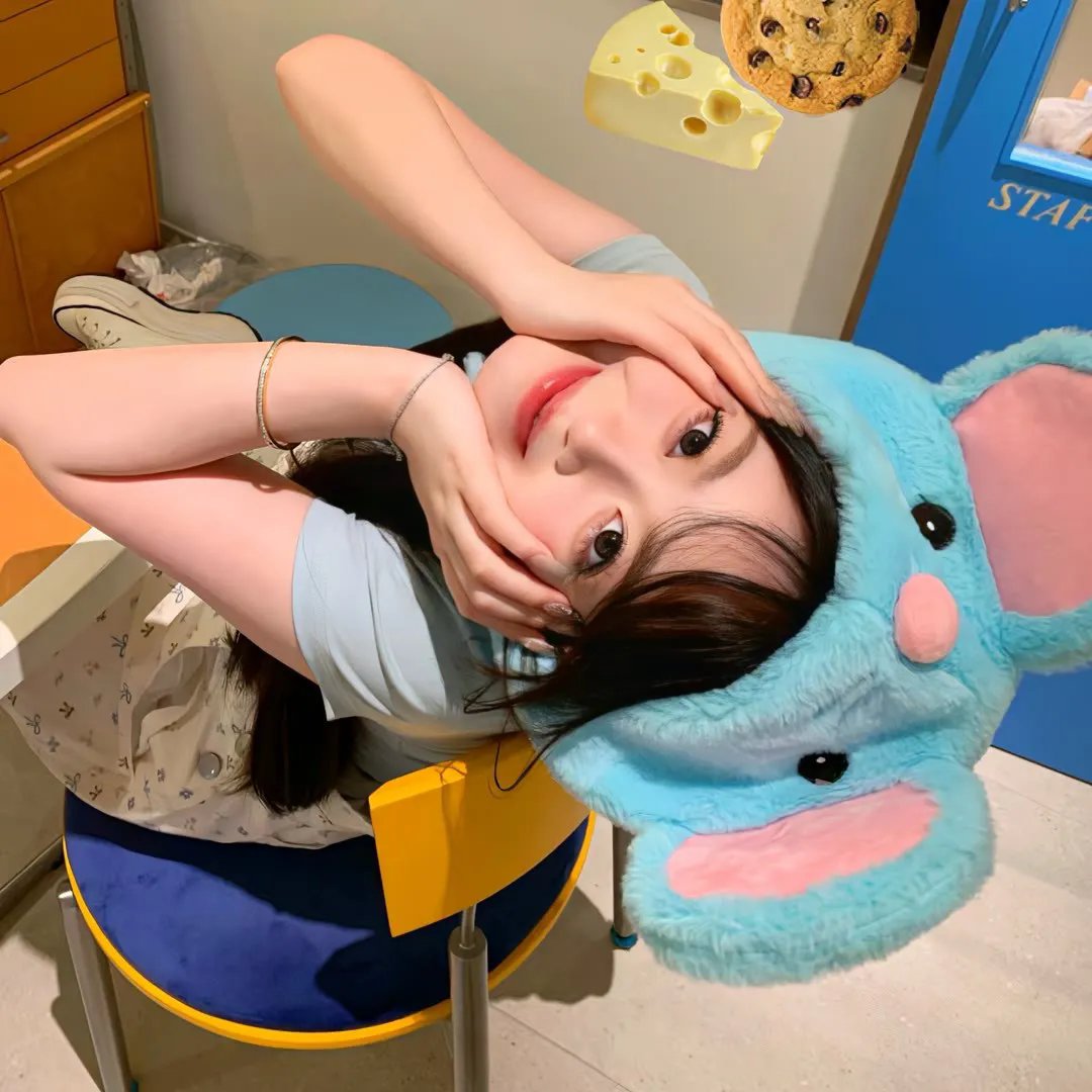 我的老婆是只猫